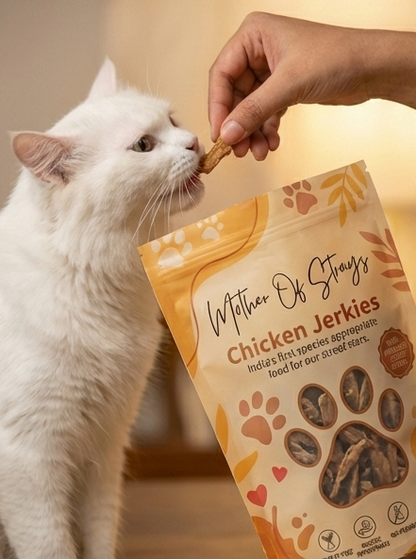 Chicken Jerkies