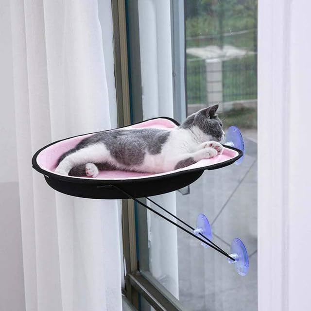 Window Hammock