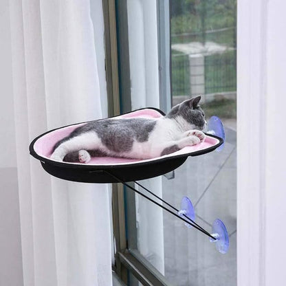 Window Hammock