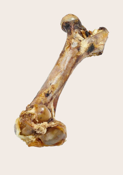 Real Bone Chews