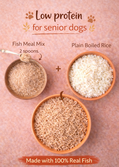 Fish Meal Mix