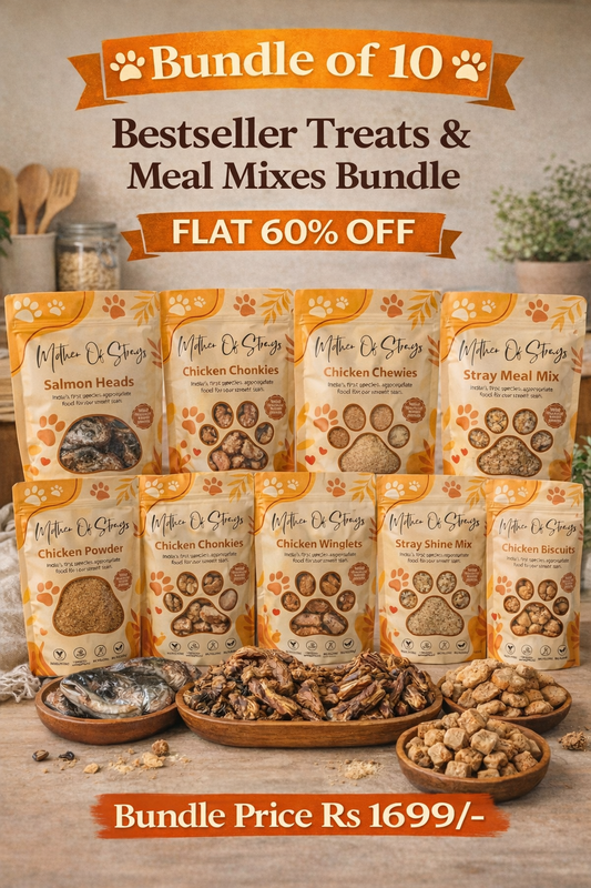 Bestseller Treats & Meal Mixes Bundle (3.9 kg)