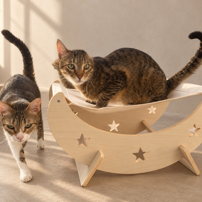 Moon Hammock