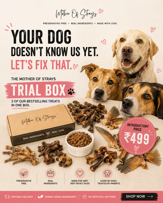 TRIAL BOX for Dogs