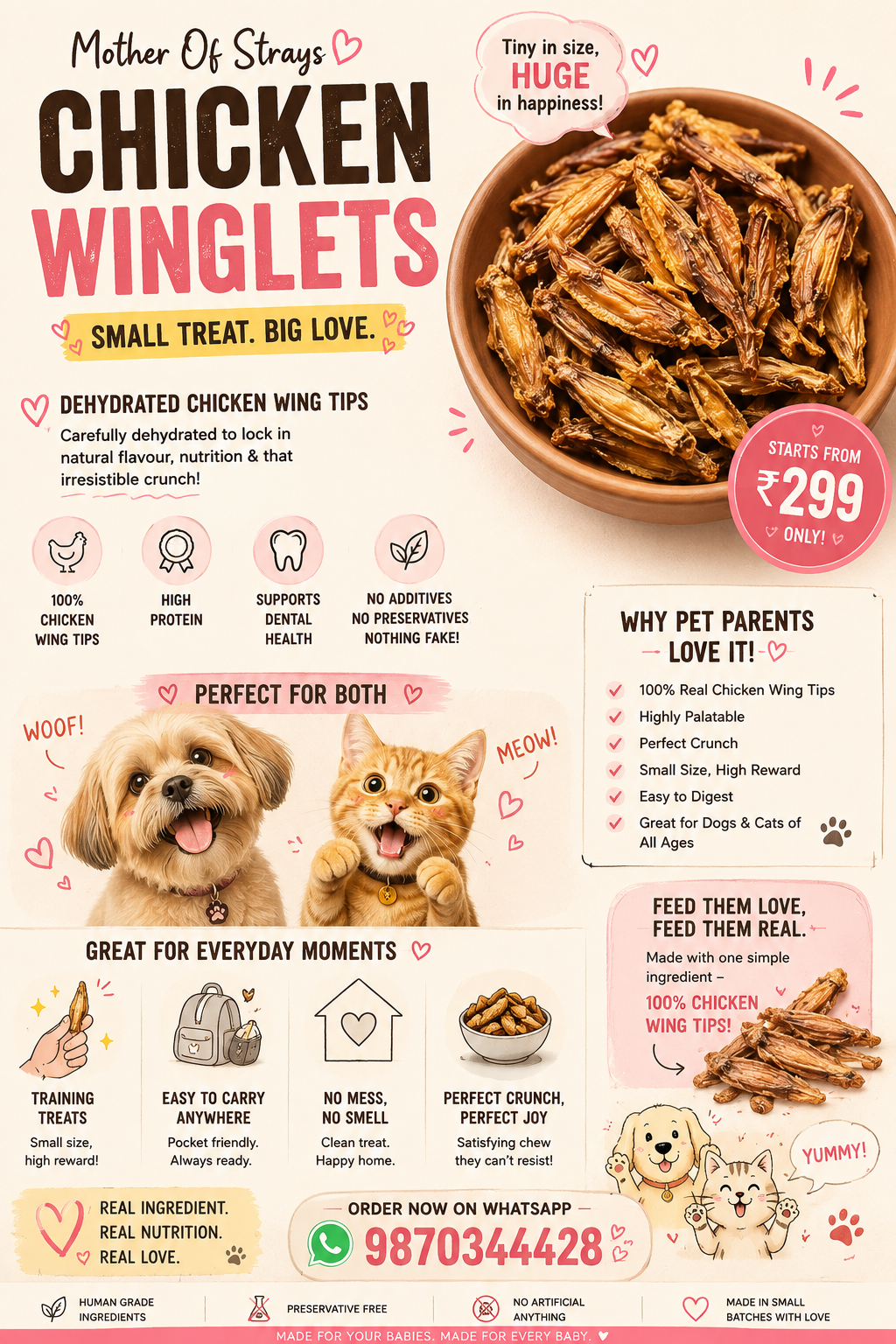 Chicken Winglets