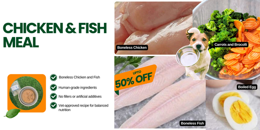 Chicken & Fish