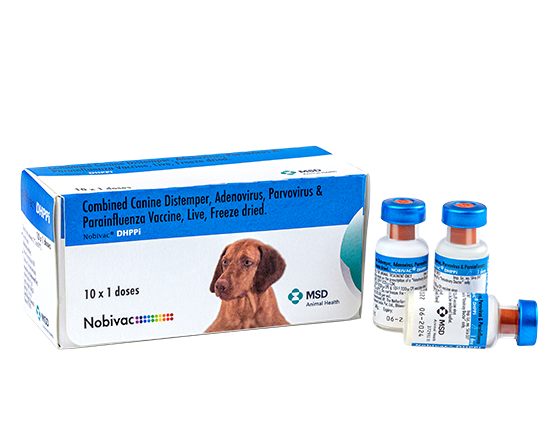 DHPPIL VACCINE + Free Anti-Rabies Vaccine (Delhi NCR only)