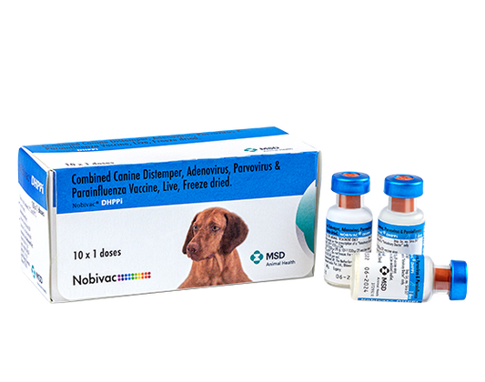 DHPPIL VACCINE + Free Anti-Rabies Vaccine (Delhi NCR only)