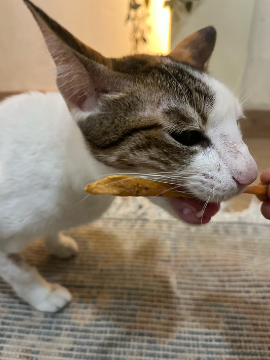 Cat Treats Bundle 900 g