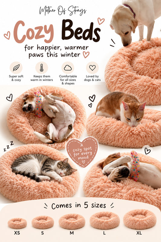 Cozy Bed (Light Color)