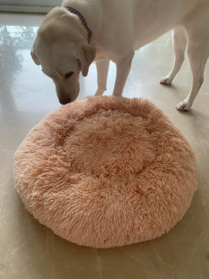 Cozy Bed