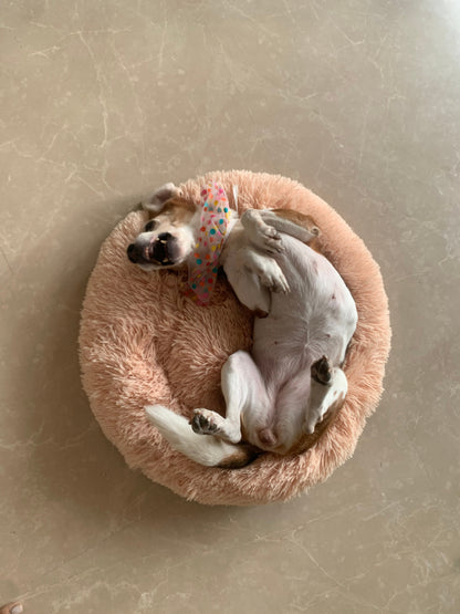 Cozy Bed