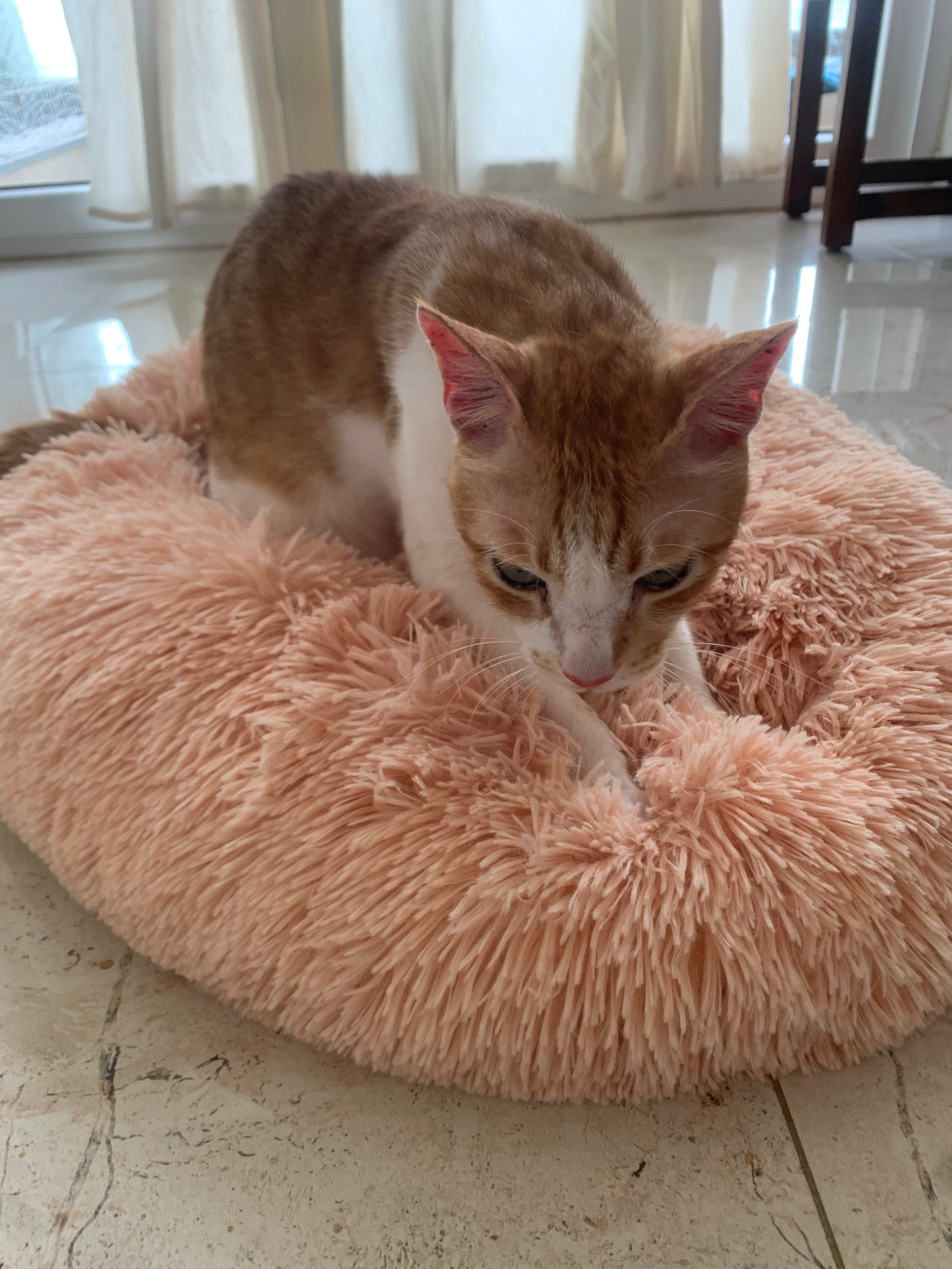 Cozy Bed