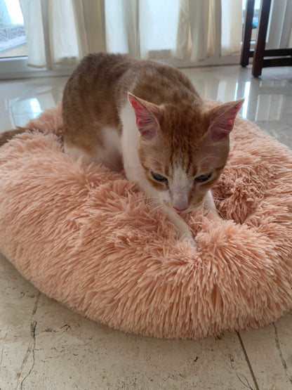 Cozy Bed