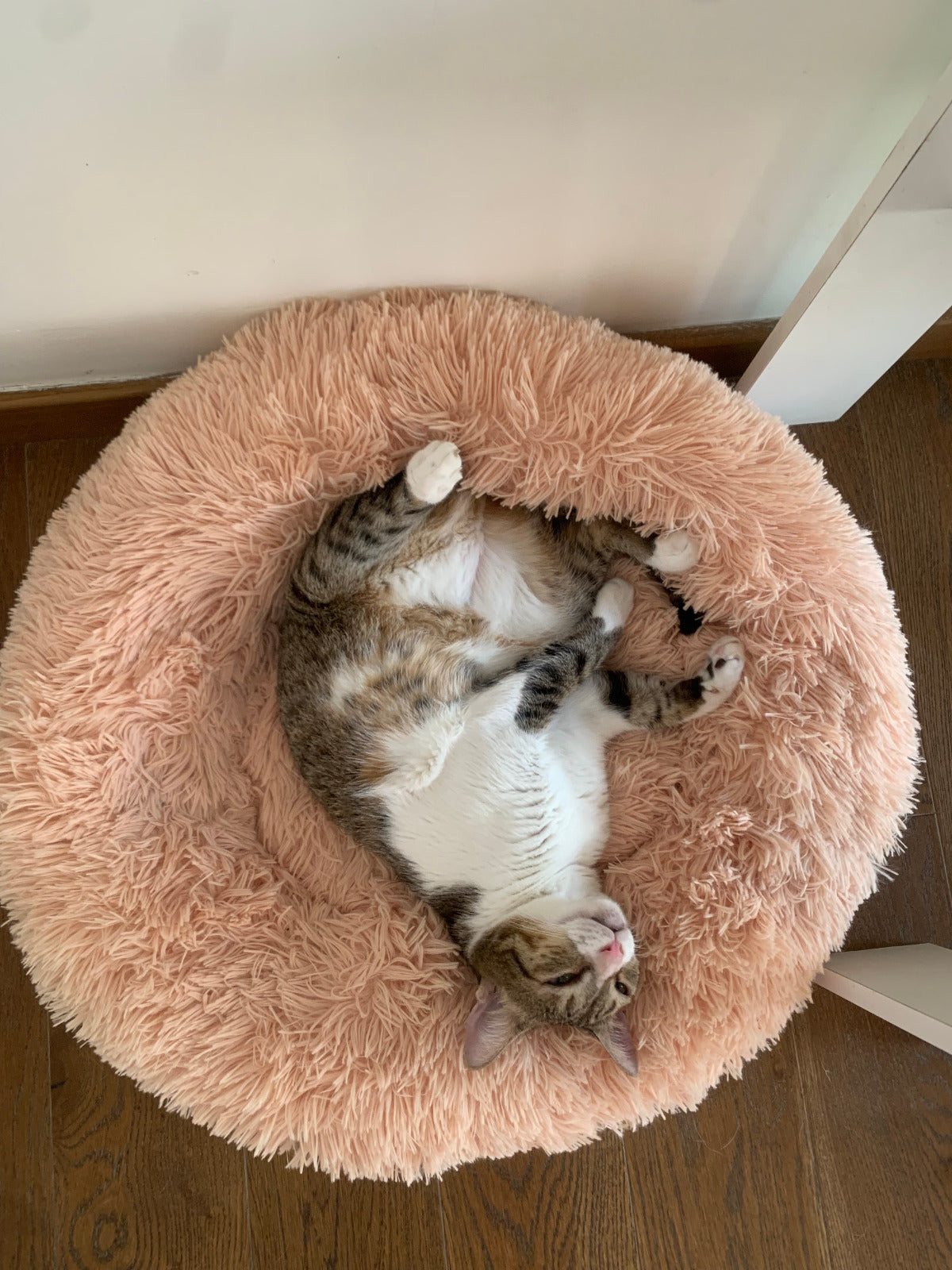 Cozy Bed
