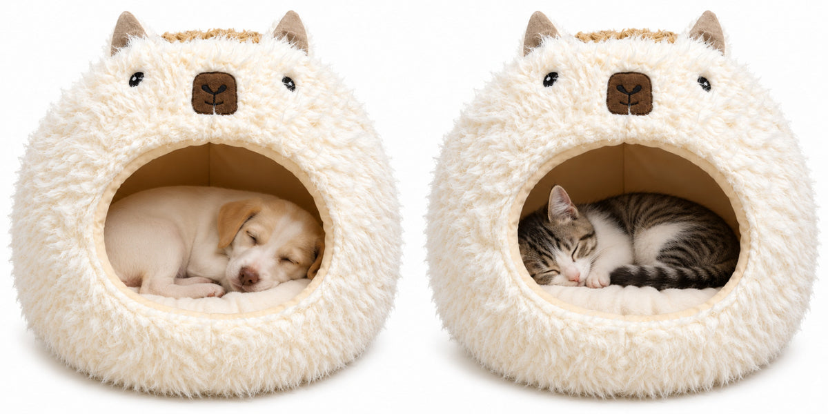 Cozy Cave Bed for Dogs & Cats