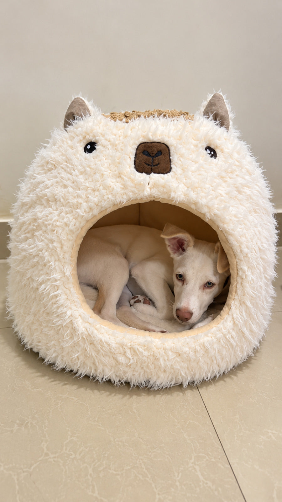 Cozy Cave Bed for Dogs & Cats