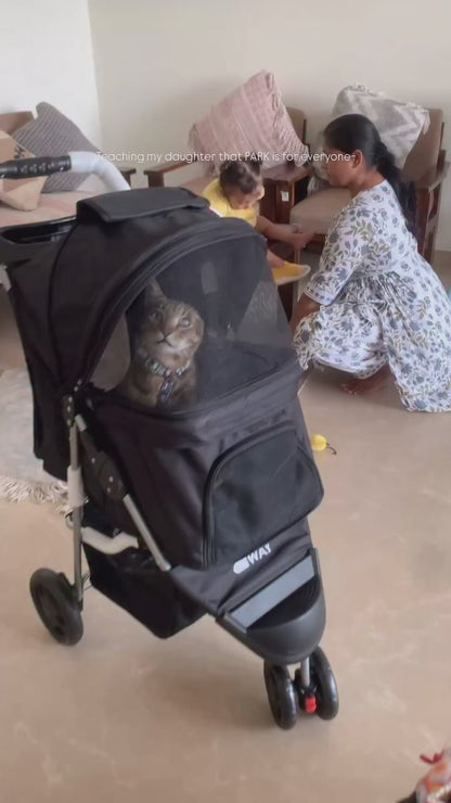 Cat Stroller